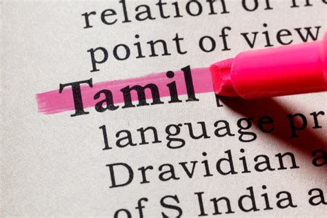 literate meaning in tamil